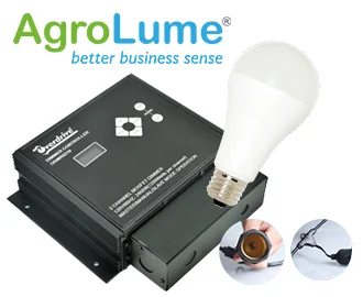 Poultry lighting