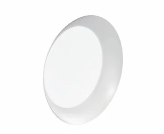 Disk light